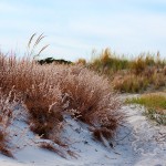 over the dune over the dune