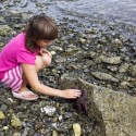 B_plus_seastar B_plus_seastar
