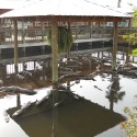 DSCN0109 DSCN0109