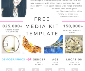 BLOGGING 101: How to Create a Media Kit & One SheetHow to Create a Media Kit & One Sheet