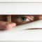 Woman_Peering_Through_Blinds_3391480