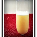 mimosa mimosa