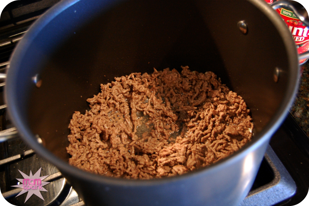 Crock pot ground beef stew recipes
