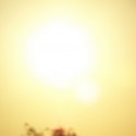 2596349912_424541f380_z