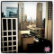 Downtown Chicago View