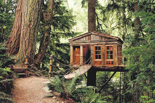 Amazing treehouse