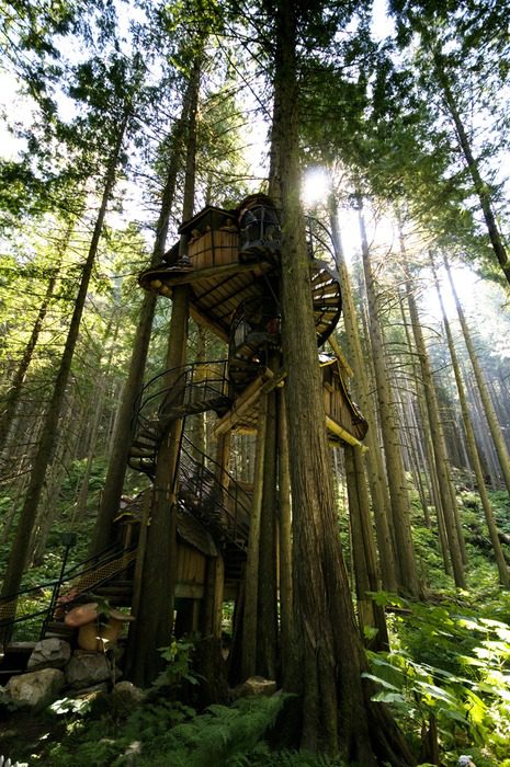 Amazing treehouse