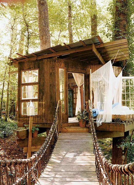 Amazing treehouse
