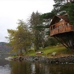 tree houses (5)