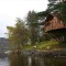 tree houses (5)