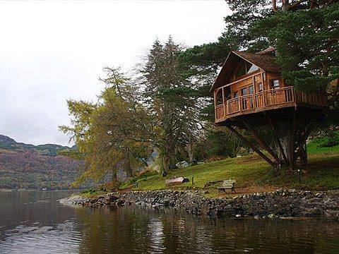 Amazing treehouse