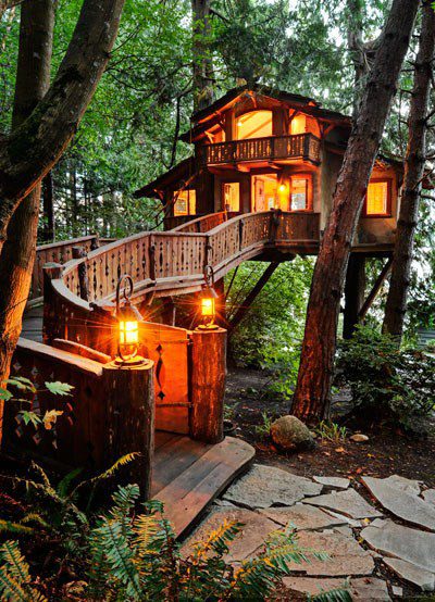 Amazing treehouse