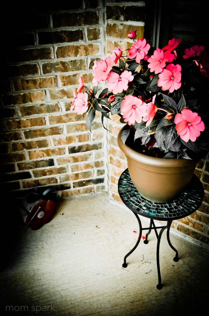 Potted Flowers on porch