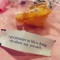fortune cookies (2)
