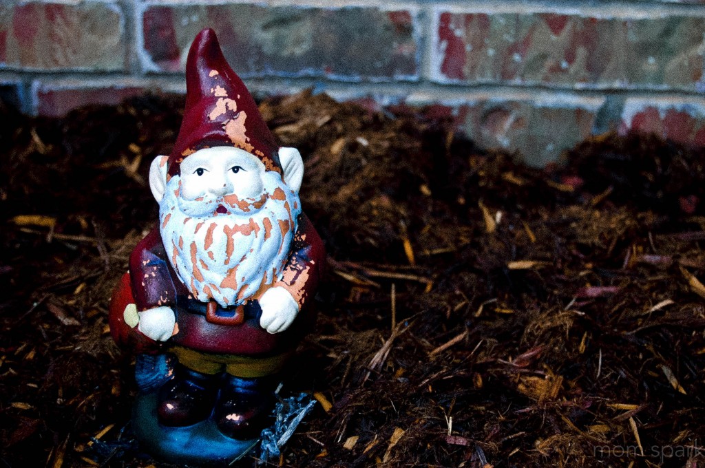 garden gnome