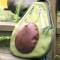 avocado love (3)