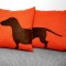 doxie love (1)