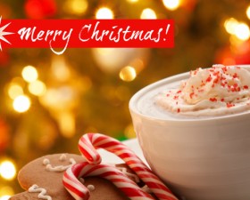 Merry Christmas Card