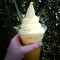 Dole Whip Float
