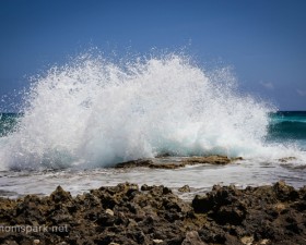 Cozumel Coast 2 copy