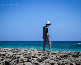 Cozumel Coast