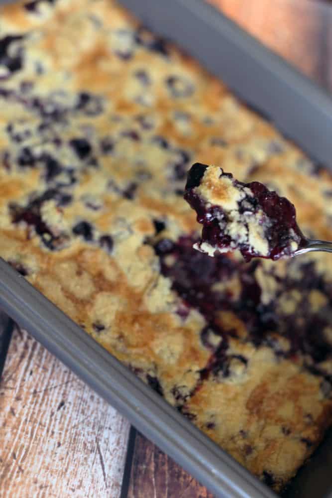 Organic Blueberry Dump Cake Recipe Mom Spark Mom Blogger 6316