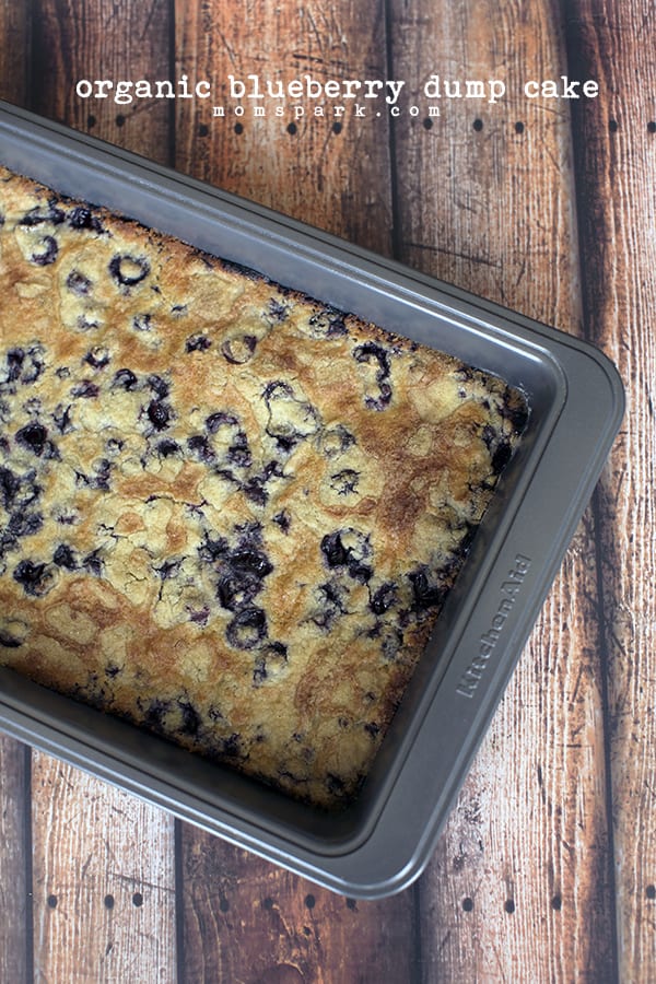 Organic Blueberry Dump Cake Organic Blueberry Dump Cake
