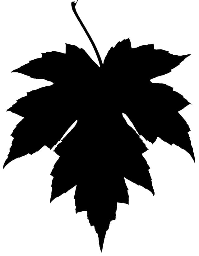 clip art oak leaf silhouette - photo #23