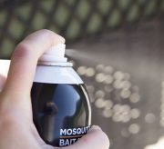 Is Summer the End of Mosquito Season?