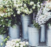 5 Tips to Reduce Waste