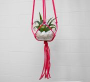 Macrame is so easy to do! Try it out with this simple succulent hanger!