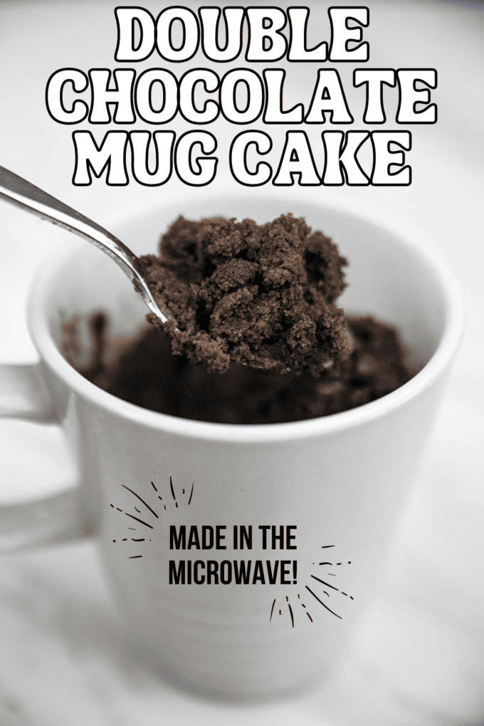 Double Chocolate Mug Cake Made in Microwave