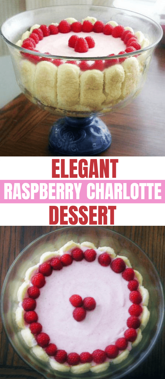 Elegant Raspberry Charlotte Dessert Recipe