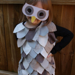 Owl Costume