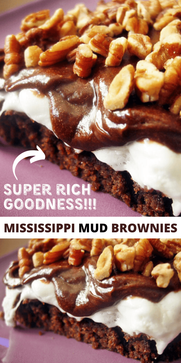 Easy Mississippi Mud Brownies Recipe