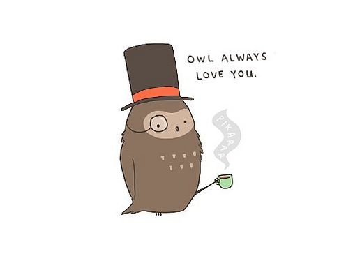 owl quotes