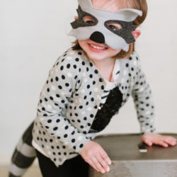 Raccoon Costume