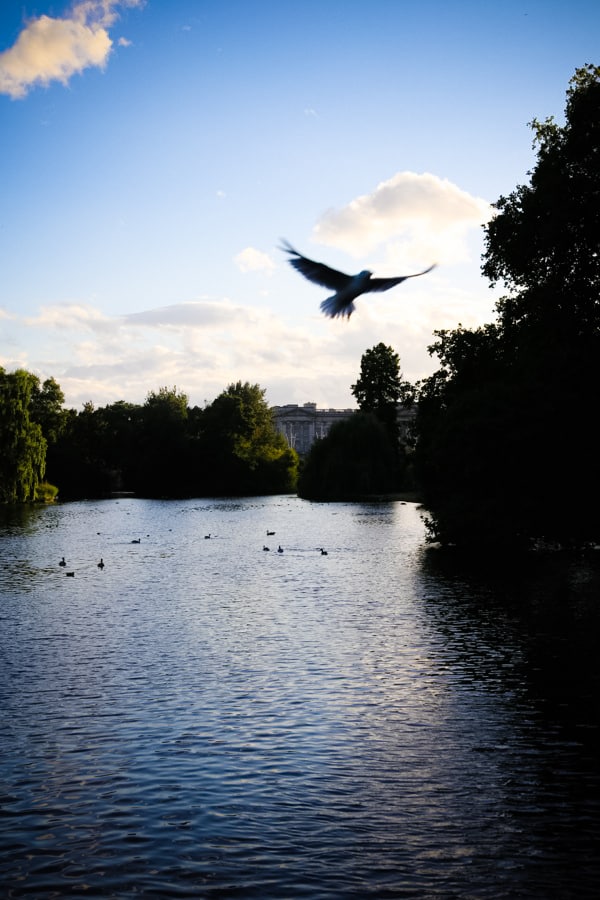 St. James's Park in London, England