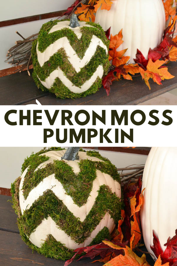 DIY Chevron Moss Pumpkin