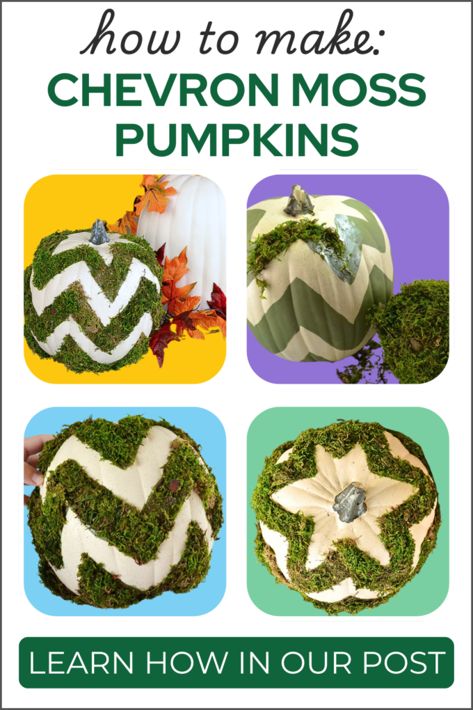 DIY Chevron Moss Pumpkin