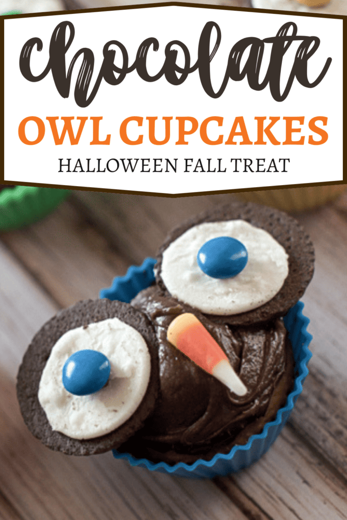 How to Make Owl Cupcakes for Fall and Halloween!