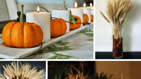 6 DIY Thanksgiving Decor Ideas