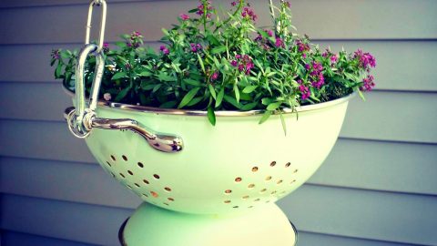 13 Fun Upcycling Projects