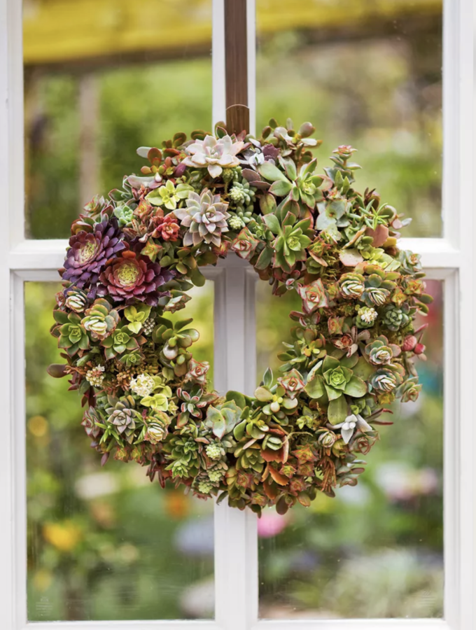 Succulent Wreath