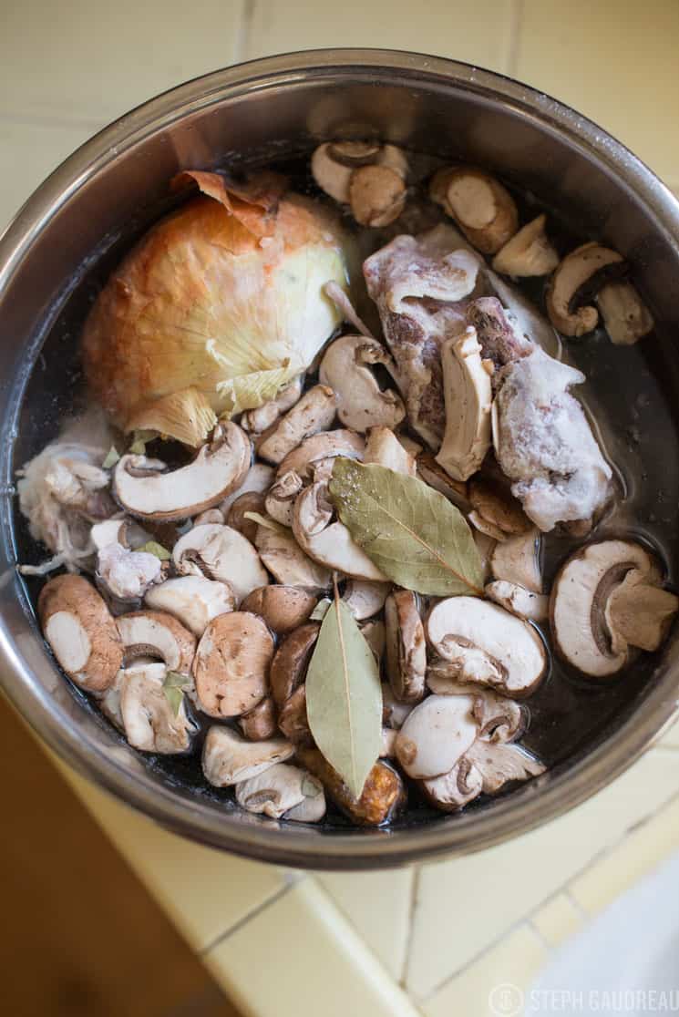 Instant Pot Bone Broth Recipe