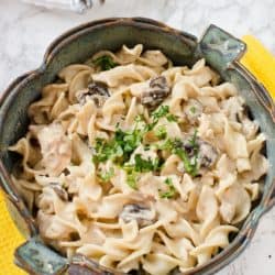 Chicken Mushroom Stroganoff