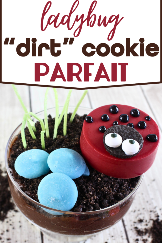 Ladybug and Frog "Dirt" Cookie Parfait