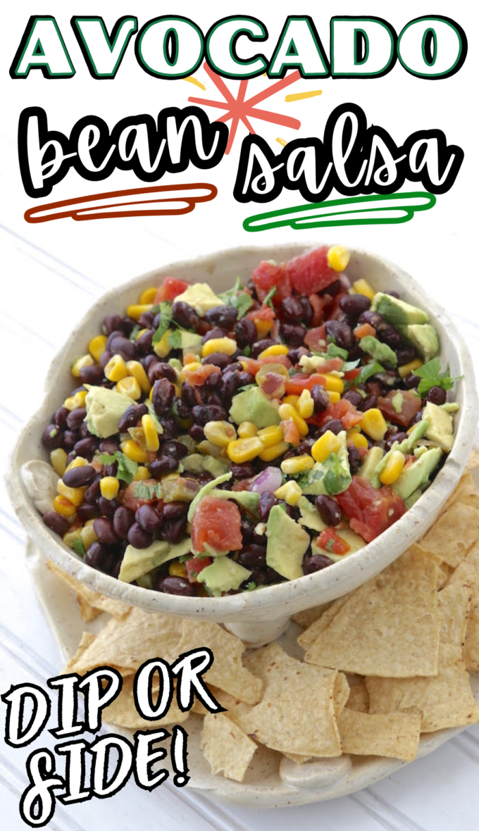 Mexican Bean and Avocado Salsa Dip