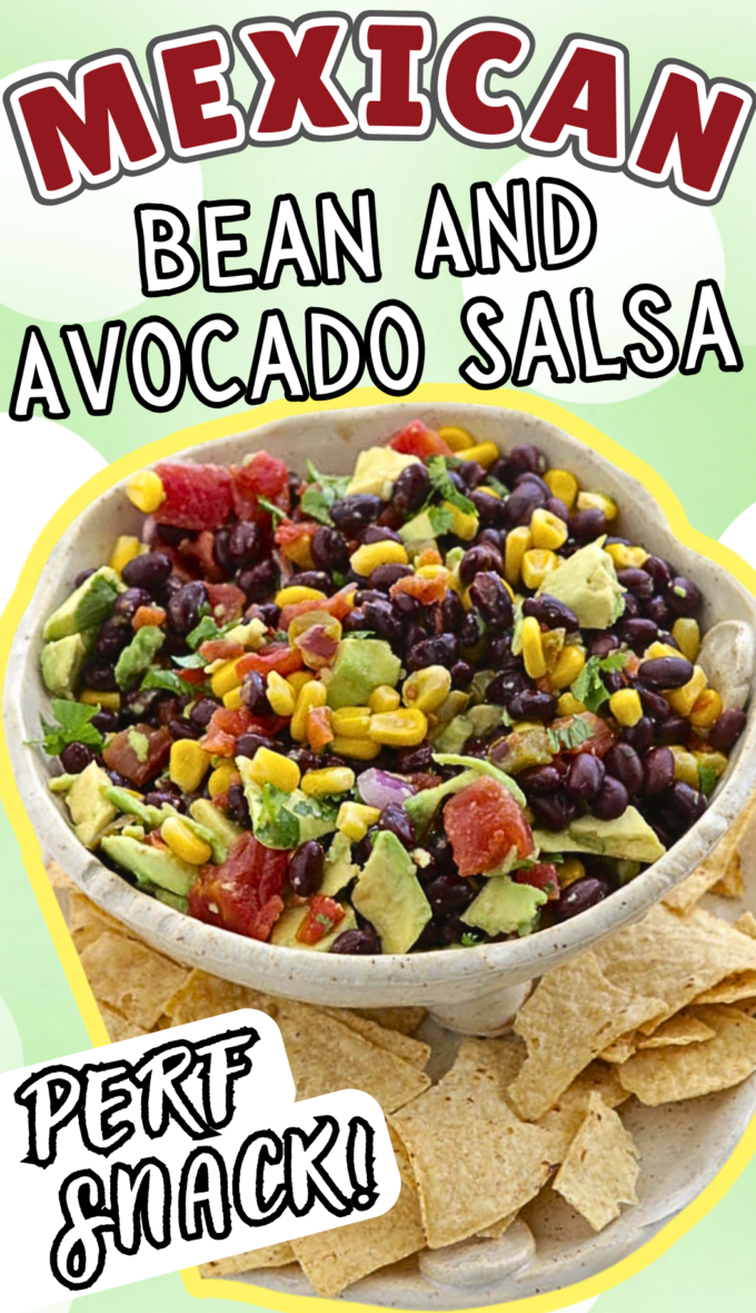 Mexican Bean and Avocado Salsa Dip