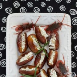 Crunchy Cheese Stuffed Date Roaches